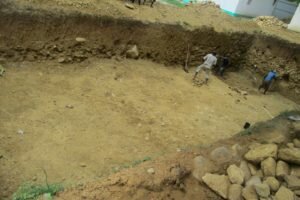 The Septic Project 2016